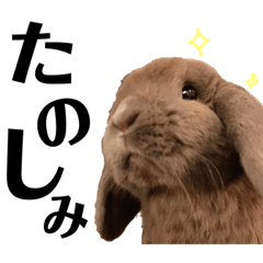 [LINEスタンプ] もり＆かわらの可愛いスタンプ24 