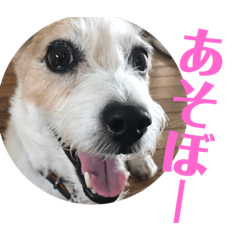 [LINEスタンプ] ジャック 2