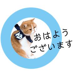 [LINEスタンプ] ドンノブボム④