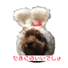 [LINEスタンプ] 大人になったマロンちゅわん2
