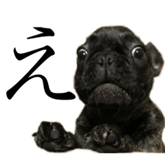 [LINEスタンプ] 関西ふれぶる チロルくん fetchpriority=high