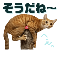 [LINEスタンプ] わさちくスタンプ 2巻