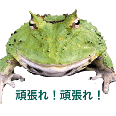 [LINEスタンプ] うちのペットの独り言