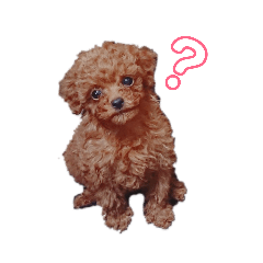 [LINEスタンプ] らぷちゃんのスタンプ