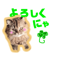 [LINEスタンプ] ドンノブボム  ②