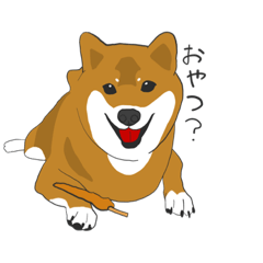 [LINEスタンプ] 柴犬モチのスタンプ