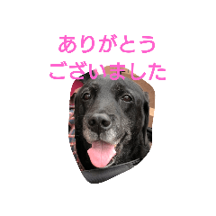 [LINEスタンプ] ルチミミ3 