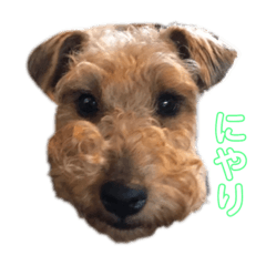 [LINEスタンプ] シェリースタンプ3