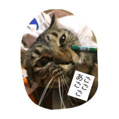 [LINEスタンプ] こはセシ① 
