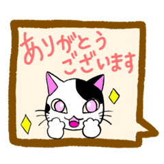 [LINEスタンプ] 日常挨拶 NEKOver
