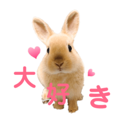[LINEスタンプ] ぽぽさんの日常