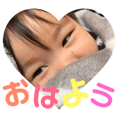 [LINEスタンプ] 虎汰郎スタンプ