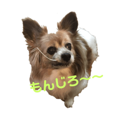 [LINEスタンプ] パピヨンのパティ2