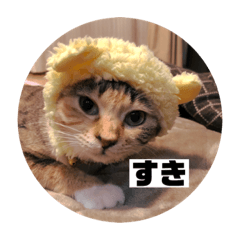 [LINEスタンプ] ねこ？くま？