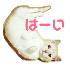 [LINEスタンプ] むにまるスタンプ
