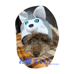 [LINEスタンプ] メロメロトイプー