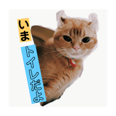[LINEスタンプ] にゃーにゃーおかき