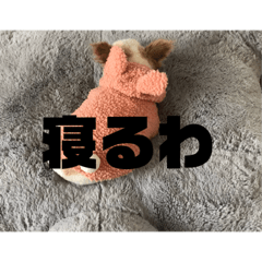 [LINEスタンプ] こももだよ 