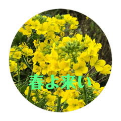 [LINEスタンプ] 植物のスタンプ 