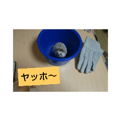 [LINEスタンプ] グリmamafamily① 