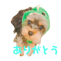 [LINEスタンプ] くうたのすたんぷ♡ 