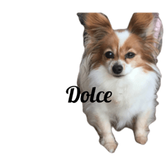 [LINEスタンプ] こやまけのなかまたち 