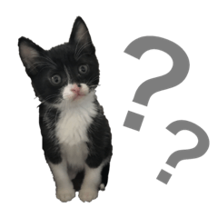 [LINEスタンプ] 松村レム