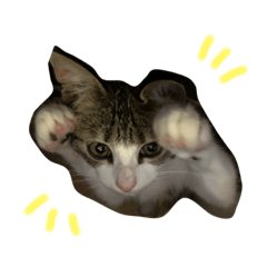 [LINEスタンプ] Rain④