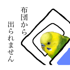 [LINEスタンプ] インコでっせっ。PART1