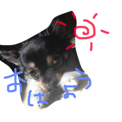 [LINEスタンプ] Riku♡Beckham fetchpriority=high