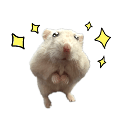 [LINEスタンプ] はむ☆はな