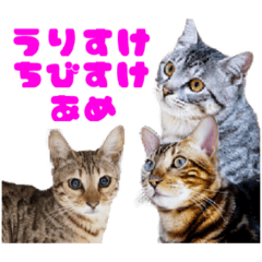 [LINEスタンプ] opan.com 