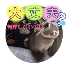 [LINEスタンプ] そらちゃん癒しスタンプ