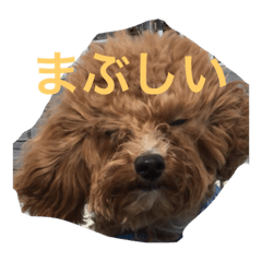 [LINEスタンプ] まろわた