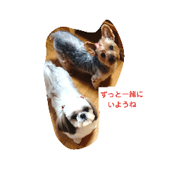 [LINEスタンプ] ポポちゃん・しずくちゃんの気持ち