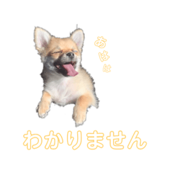 [LINEスタンプ] マルマルマルスタンプ