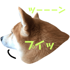 [LINEスタンプ] 柴犬サーくん4飛ばして5