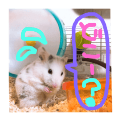 [LINEスタンプ] ふぁみりースタンプ♡