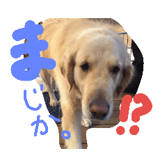 [LINEスタンプ] うちのまっくす2