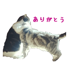 [LINEスタンプ] ピスカとルカ