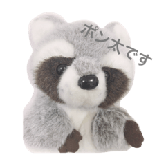 [LINEスタンプ] アライグマのポン太