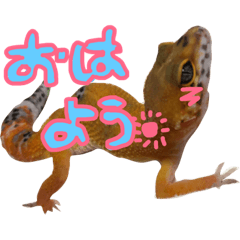 [LINEスタンプ] ポテトともちちゃん