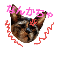 [LINEスタンプ] 修羅の国 北九州弁～わんにゃん～