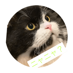 [LINEスタンプ] 元帥のひとこと
