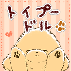 [LINEスタンプ] ほのぼの*トイプードル* 