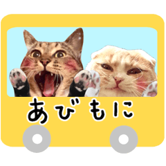 [LINEスタンプ] アビモニ落書きすたんぷ