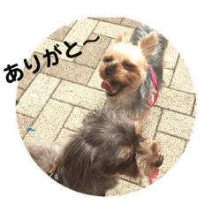 [LINEスタンプ] クレアレフィガルフィのスタンプ④