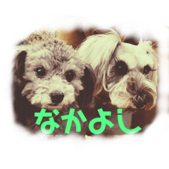[LINEスタンプ] うちの子たーち