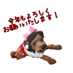 [LINEスタンプ] トイプードル  J   ～お正月編 2