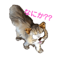 [LINEスタンプ] ぷりぷりぷりお